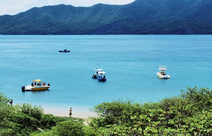 2021  Foto: Marco Bustos