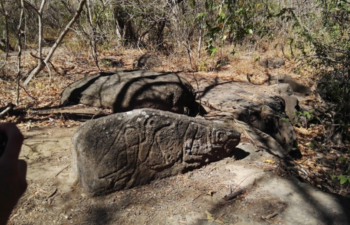 Quebrada El Duende, Sendero Indio Desnudo, Parque Nacional Santa Rosa,  Foto: Marco Bustos