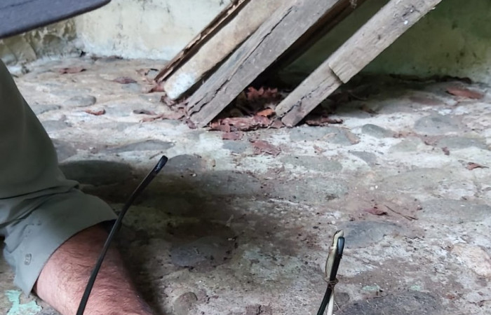 Estación Biológica San Gerardo Foto: Carolina Cano  Junio 2022