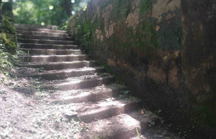 Fotografía: Johan Martínez, Junio 24, 2022