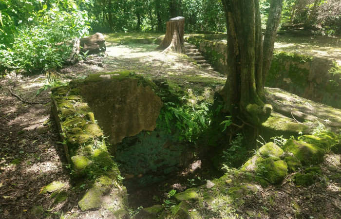 Fotografía: Johan Martínez, Junio 24, 2022