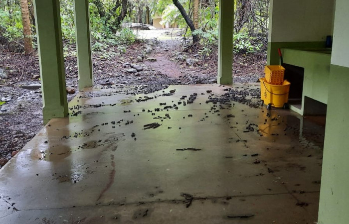 Fotografia: Felipe Pizarro   2 de julio 2022