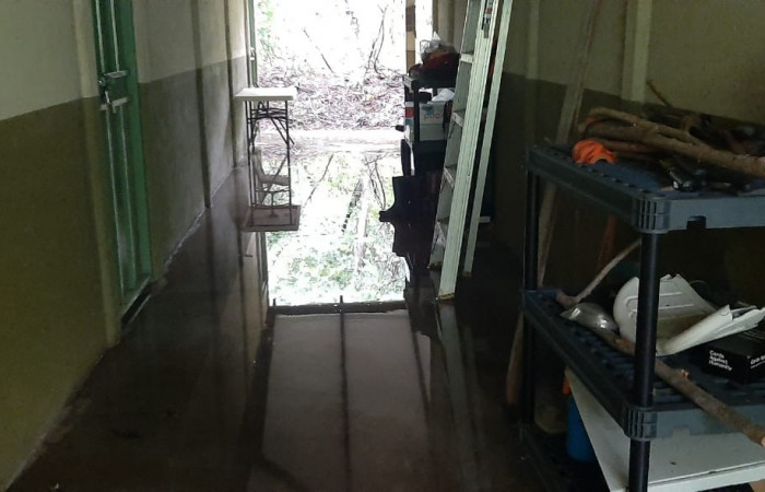 Fotografía: Felipe Pizarro  2 de julio 2022