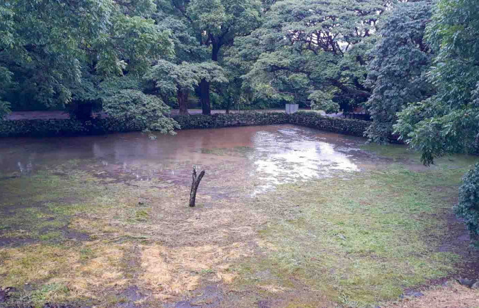 Fotografia: Guery Dinarte  2 de julio 2022