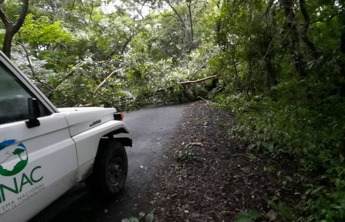 Fotografía: Felipe Pizarro   2 de julio 2022