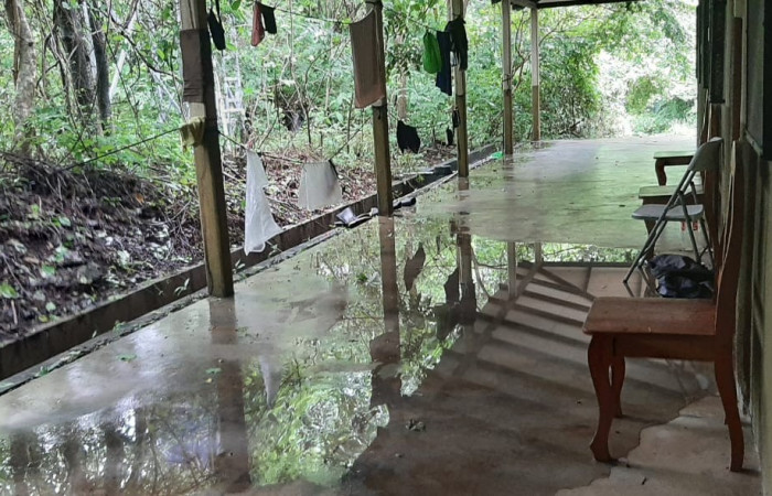 Fotografía: Felipe Pizarro  2 de julio 2022