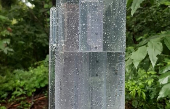 Fotografía: Felipe Pizarro   2 de julio 2022