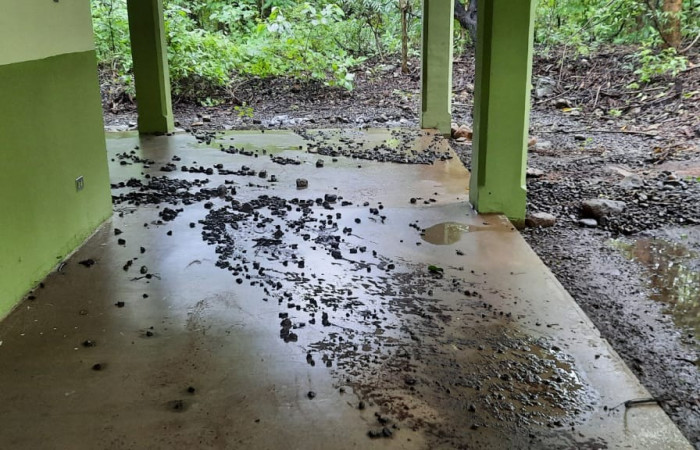 Fotografia: Guery Dinarte   2 de julio 2022