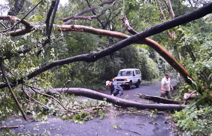  Fotografia: Felipe Pizarro   2 de julio 2022