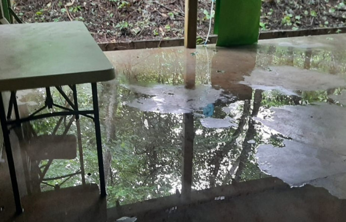 Fotografía Guery Dinarte   2 de julio 2022