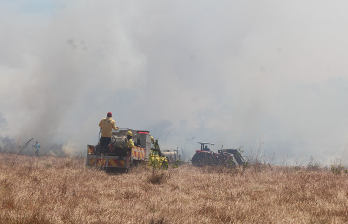 21 de abril 2022  Foto: Marco Bustos