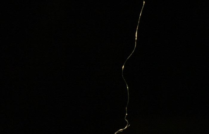 Figura 14. Pupario de Braconidae, <i>Prochoerodes striata</i>, Geometridae, , <i>Meteorus</i> Zitani01DHJ05, vista lateral,  (05-SRNP-33951-DHJ410134.)