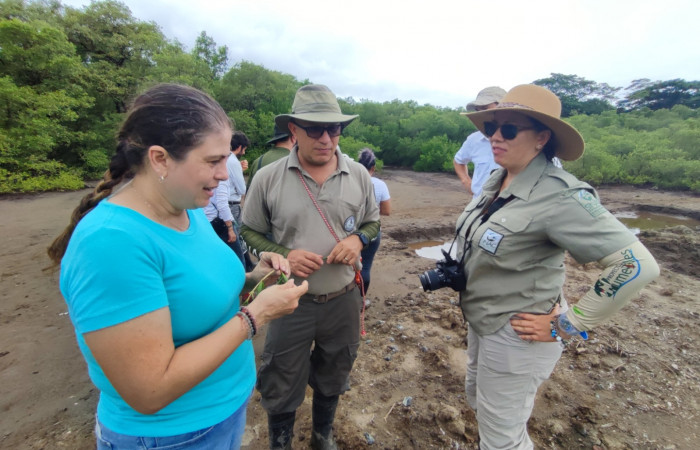 Manglar Bahía Tomas, Cuajiniquil, La Cruz Guanacaste  11 de agosto 2022  Foto: Melissa Espinoza 