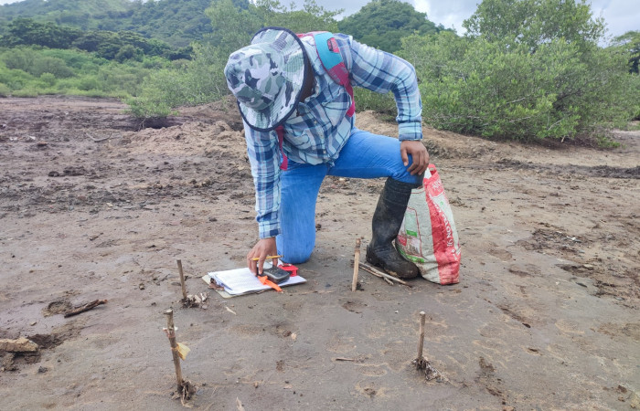Manglar Bahía Tomas, Cuajiniquil, La Cruz Guanacaste  11 de agosto 2022  Foto: Melissa Espinoza 