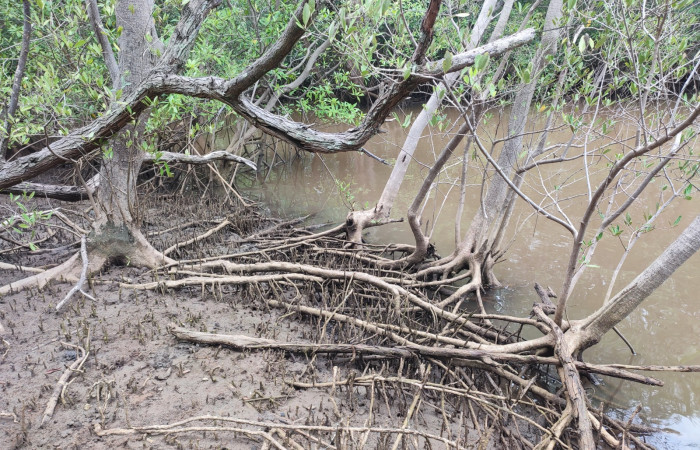 11 de agosto 2022  Foto: Melissa Espinoza 