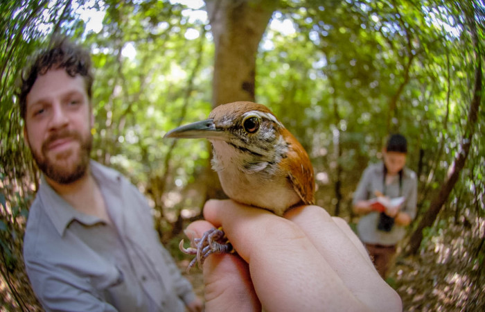 Sector Santa Rosa, 2018, Fotografías: Dale Morris