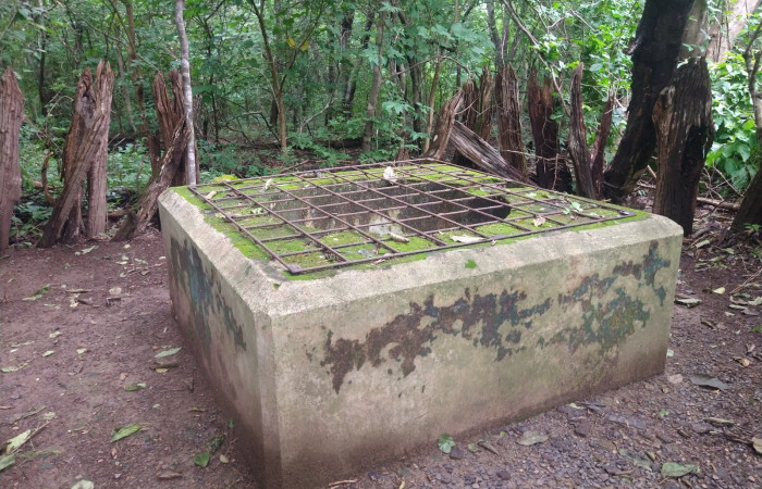 Parque Nacional Santa Rosa, Octubre 2022, Foto: Johan Martínez