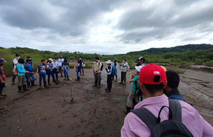 Explicando el proyecto de restauración del manglar