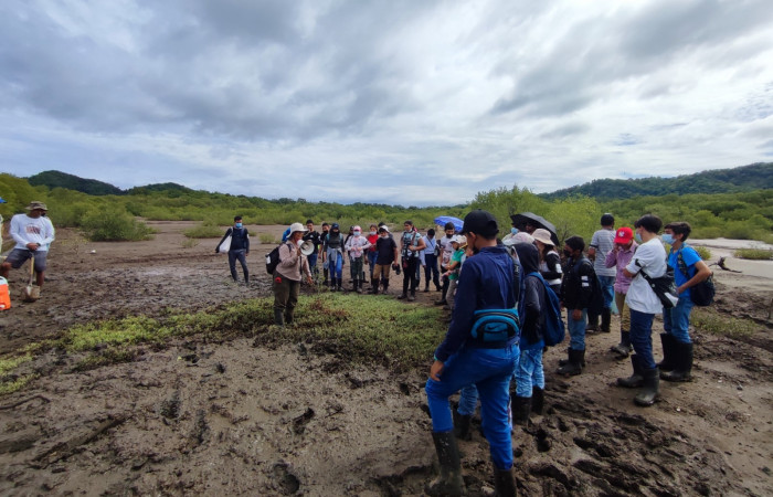 En la imagen, estudiando la importancia de la Verdolaga de playa en la absorción de sal, en el suelo del manglar.