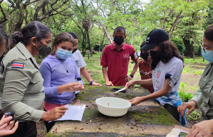 Analizando la hoja de trabajo y las observaciones a ser presentadas a los demás miembros del grupo.