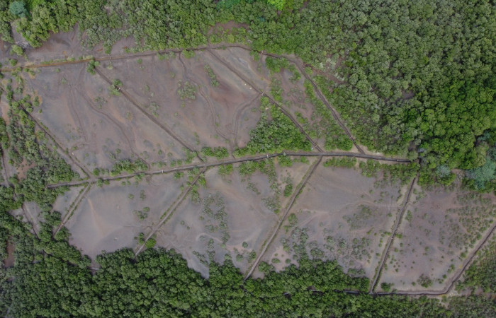 Vista aérea del manglar de Bahía Tomas, durante la estancia de los participantes del XXX taller de biodiversidad.