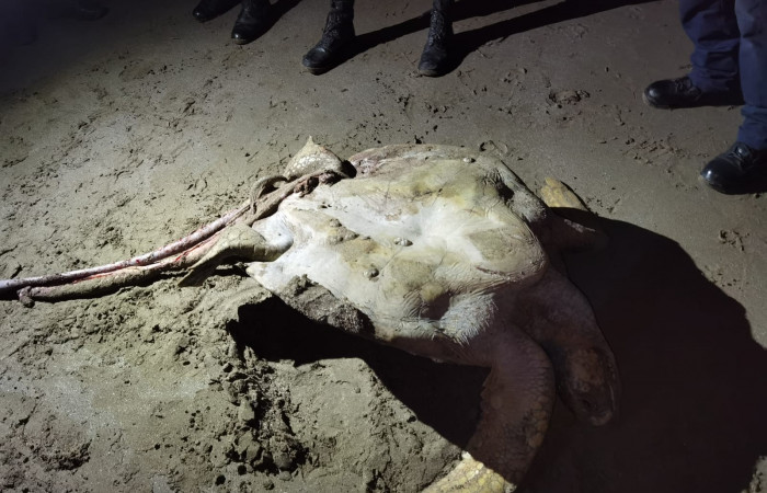 Playa El Jobo La Cruz Guanacaste 8 de noviembre 2022 Foto: Marco Bustos