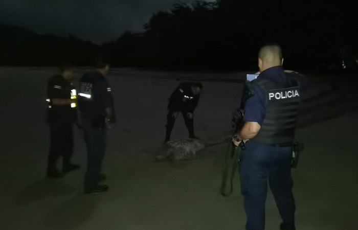 Playa El Jobo La Cruz Guanacaste 8 de noviembre 2022 Foto: Marco Bustos