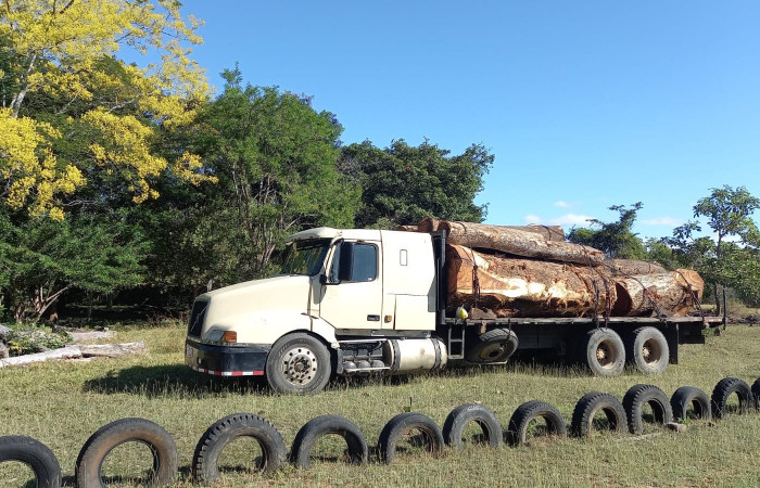 6 de enero 2023  Papagayo, Nacascolo de Liberia  Foto: Brigada de Prevención Protección y Control del ASP- ACG    