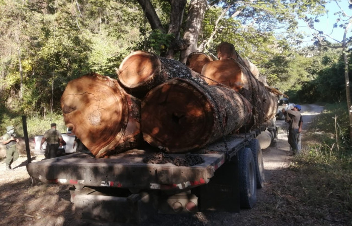 6 de enero 2023  Papagayo, Nacascolo de Liberia  Foto: Brigada de Prevención Protección y Control del ASP- ACG