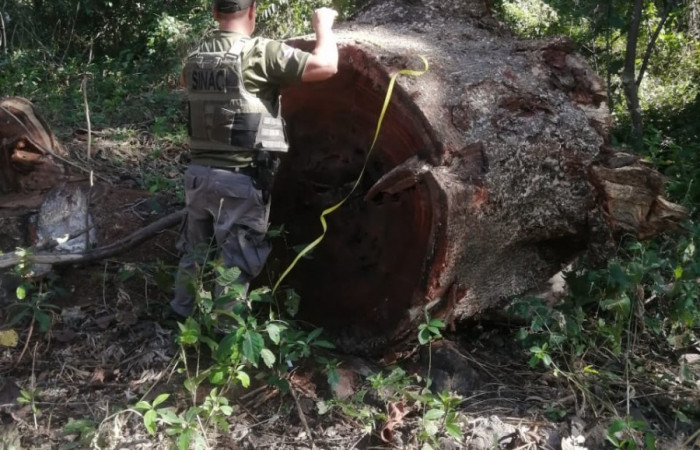 6 de enero 2023  Papagayo, Nacascolo de Liberia  Foto: Brigada de Prevención Protección y Control del ASP- ACG