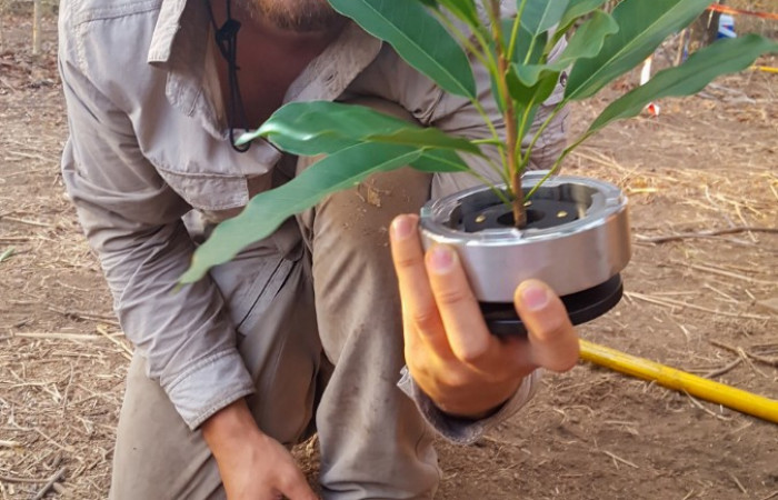 Estación Experimental Forestal Horizontes (EEFH)  2019-2023