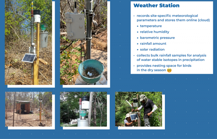 Estación Experimental Forestal Horizontes (EEFH)  2019-2023