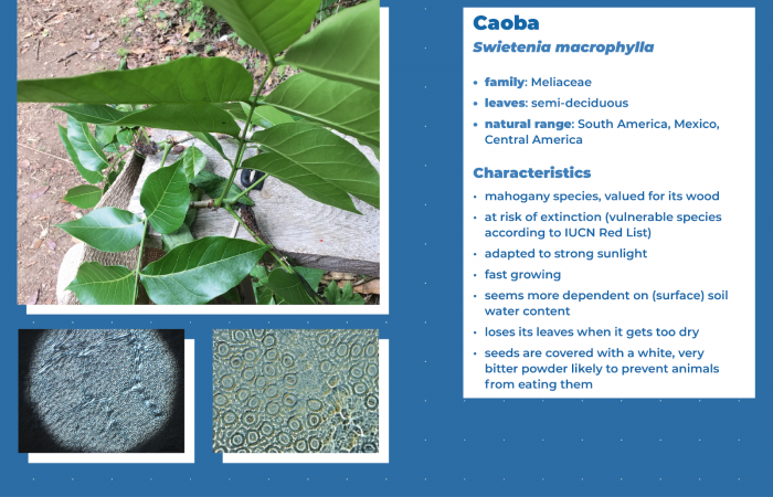 Estación Experimental Forestal Horizontes (EEFH)  2019-2023
