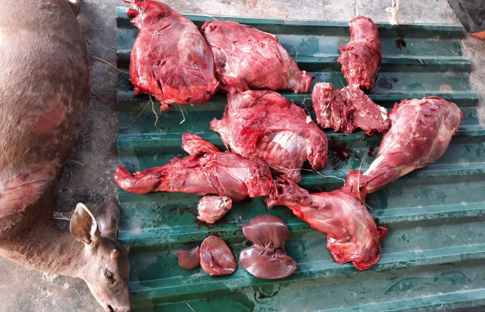 5 de marzo 2023  Sector Murciélago, Parque Nacional Santa Rosa  Foto: Programa de Prevención, Protección y Control  