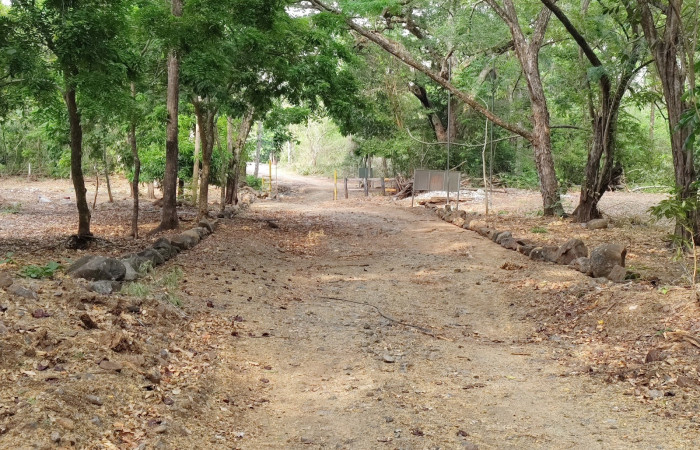 Parque Nacional Santa Rosa Abril 2023 Foto: Esther Centeno