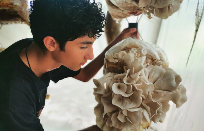 Cañas Dulces, Liberia Guanacaste  Fuente: Rosibel Elizondo, 2023