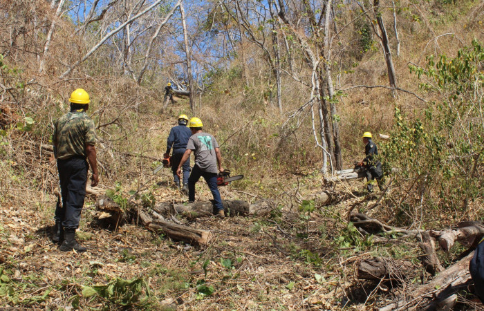 Academia Nacional  de Policías en Murciélago 8 de febrero 2019 Foto: Melissa Espinoza