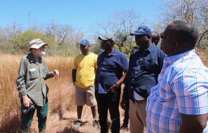 Parcela El Príncipe  Sector Santa Rosa  6 de febrero 2019  Foto: Melissa Espinoza