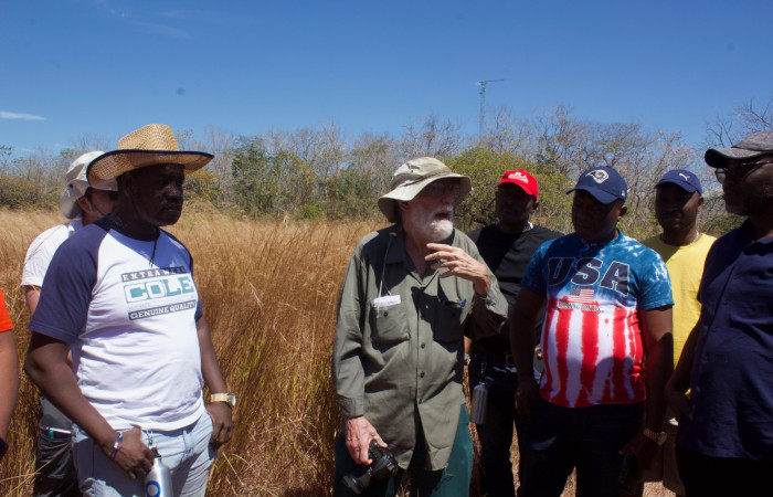 Parcela El Príncipe  Sector Santa Rosa  6 de febrero 2019  Foto: Melissa Espinoza