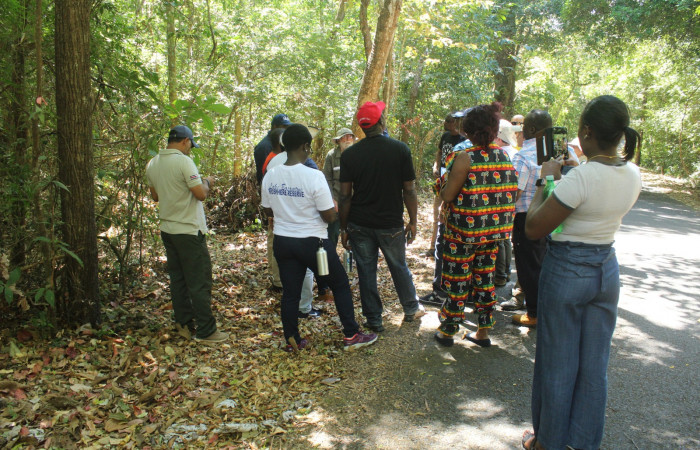 Bosque húmedo  Sector Santa Rosa  6 de febrero 2019  Foto: Melissa Espinoza
