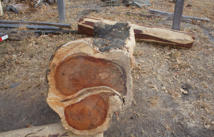 12 de febrero 2019 Cañas Guanacaste, Carretera Interamericana Norte Foto: Melissa Espinoza 