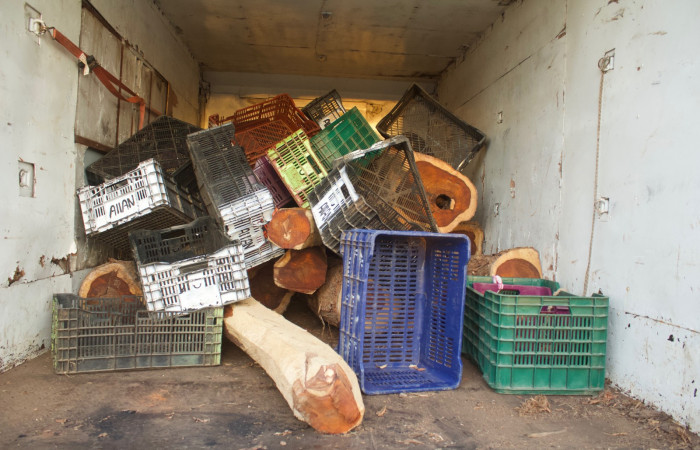 12 de febrero 2019 Cañas Guanacaste, Carretera Interamericana Norte Foto: Melissa Espinoza 