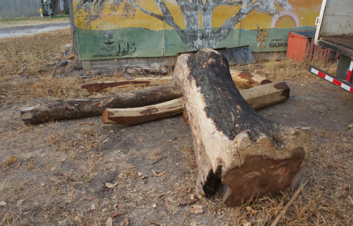 12 de febrero 2019 Cañas Guanacaste, Carretera Interamericana Norte Foto: Melissa Espinoza 