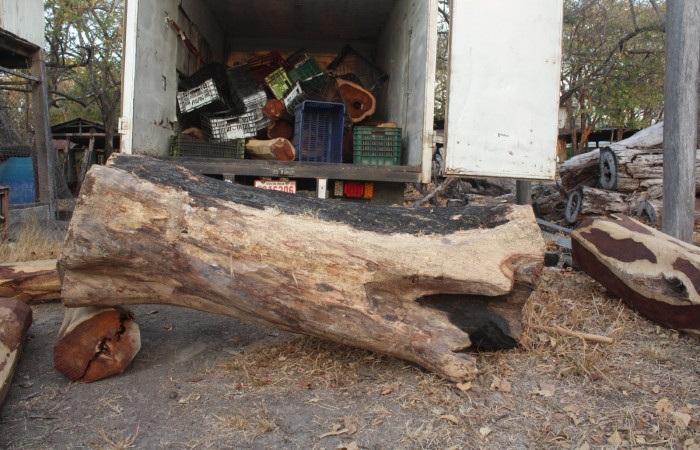 12 de febrero 2019 Cañas Guanacaste, Carretera Interamericana Norte Foto: Melissa Espinoza 