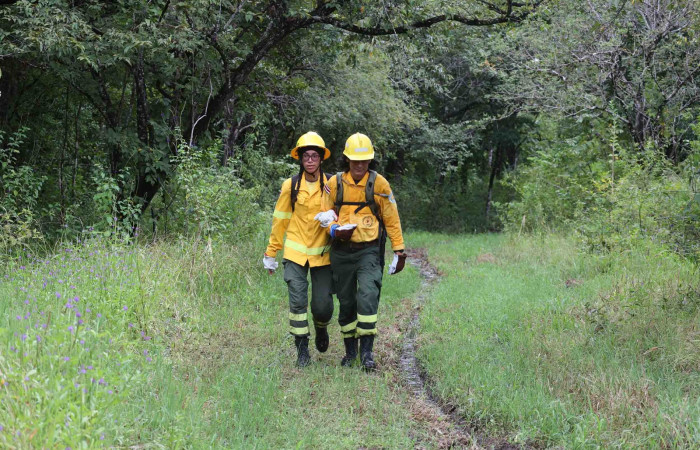 Sector Pocosol, PN Guanacaste Noviembre 2023 Foto: Melissa Espinoza