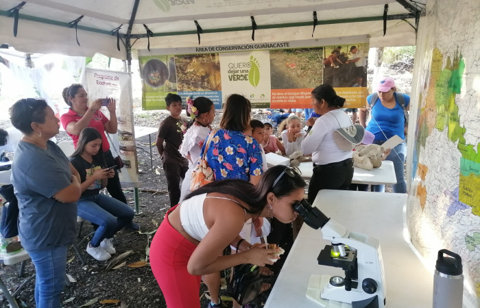 En la fotografía se encuentra una niña, observando una hoja y su estructura mas de cerca. En el festival, muchos se fueron maravillados de los hermoso que son las cosas, cuando las vemos muy de cerca. Foto. Rolando Ramos