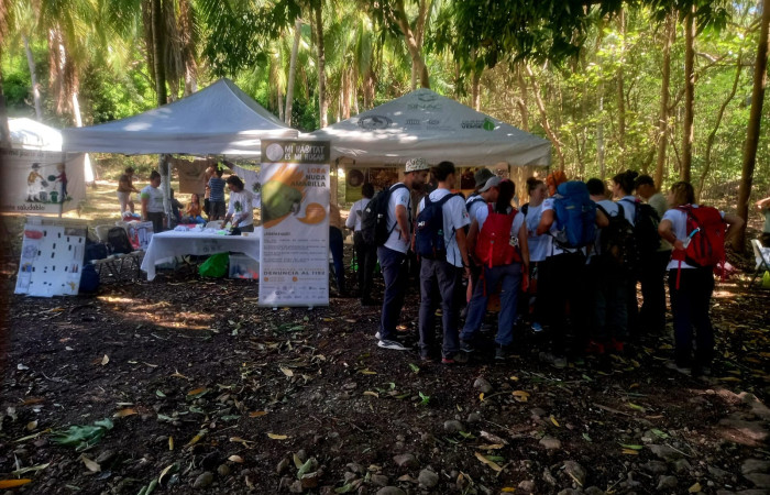 En la foto encontramos un grupo de jóvenes de Francia, que estaban realizando el juego, que consiste en asociar diferentes tipos de alimentos y el animal que lo consume. Foto. Juan Hernández.