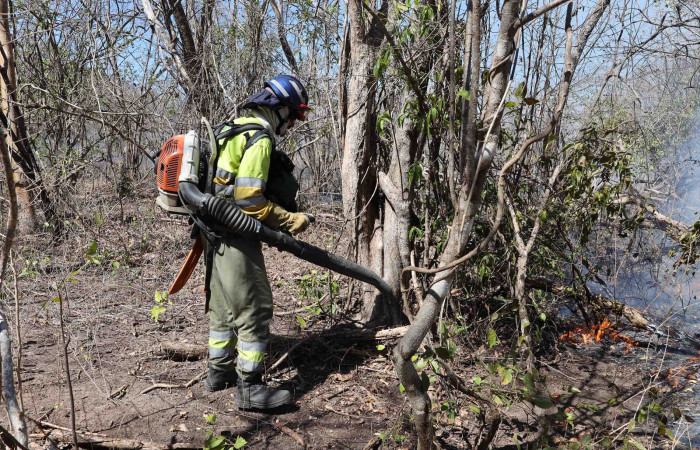 Incendio forestal Altamira-Parque Nacional Guanacaste  Abril 2024  Foto:Melissa Espinoza