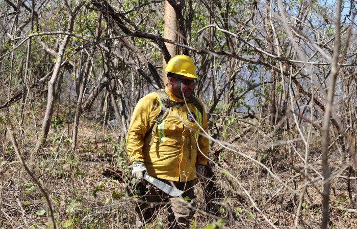 Incendio forestal Altamira-Parque Nacional Guanacaste  Abril 2024  Foto:Melissa Espinoza
