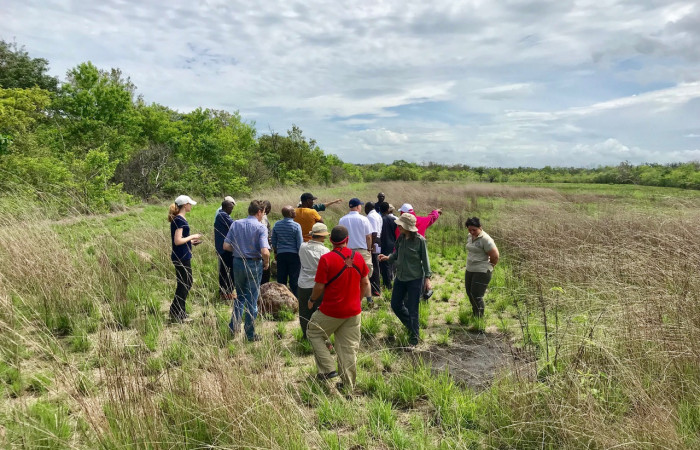Sector Santa Rosa, 7 junio 2018, Fotografía: Roger Blanco